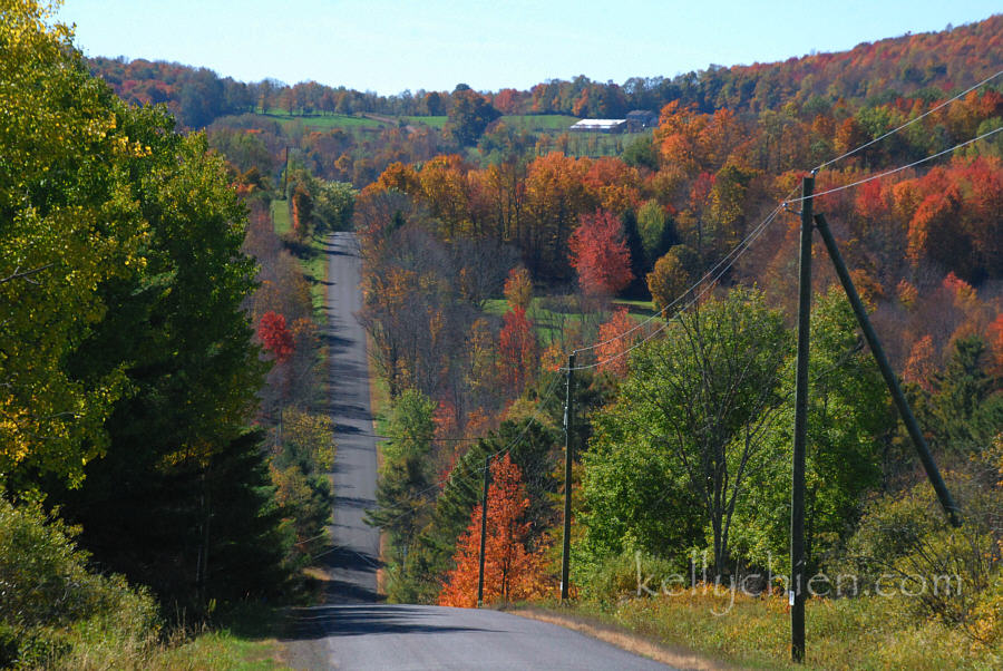fall_2015-02.jpg