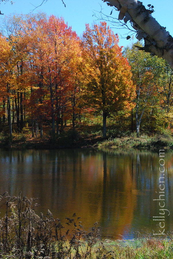 fall_2015-05.jpg