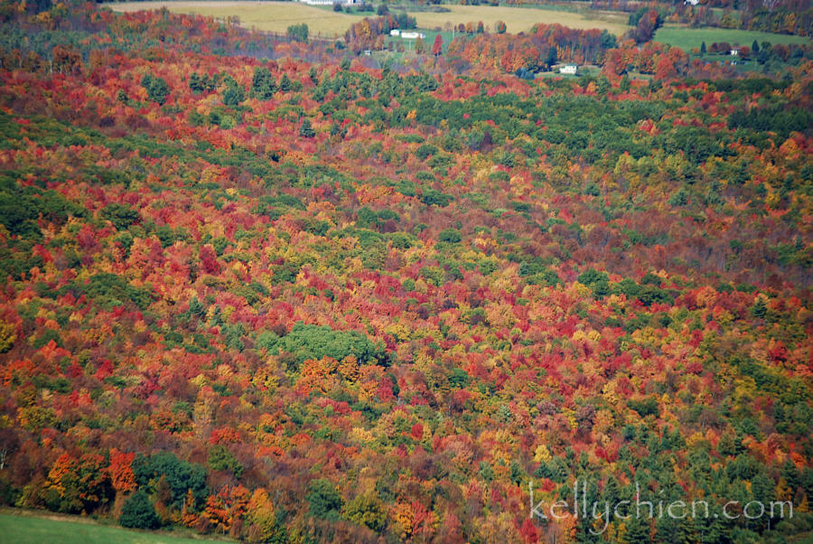 fall_2015-09.jpg