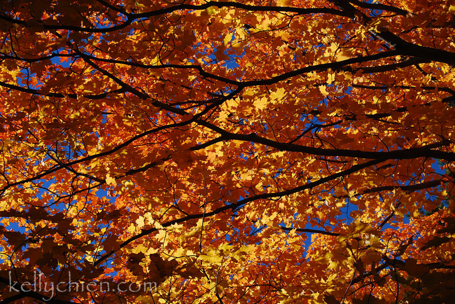 fall_2015-17.jpg