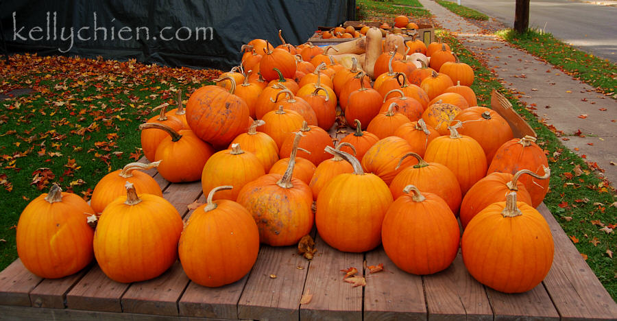 fall_2015-20.jpg